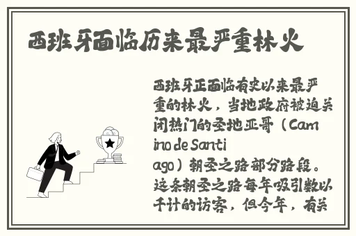 最近最新MV字幕免费观看